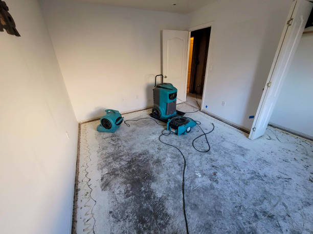 Best 24-hour water damage restoration  in Rolling Hills Estates, CA