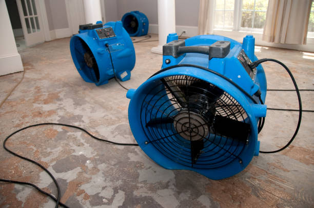 Rolling Hills Estates, CA Water damage restoration Company