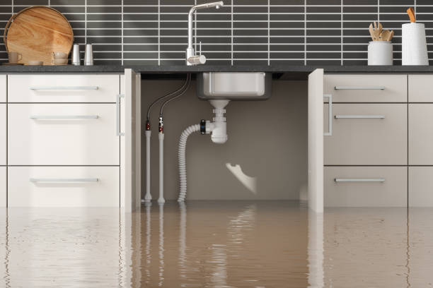Best Mold removal after water damage  in Rolling Hills Estates, CA