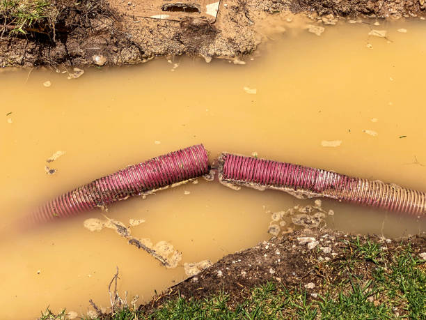 Best Local water damage restoration  in Rolling Hills Estates, CA