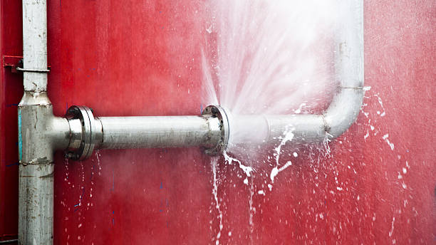 Best Professional water damage repair  in Rolling Hills Estates, CA